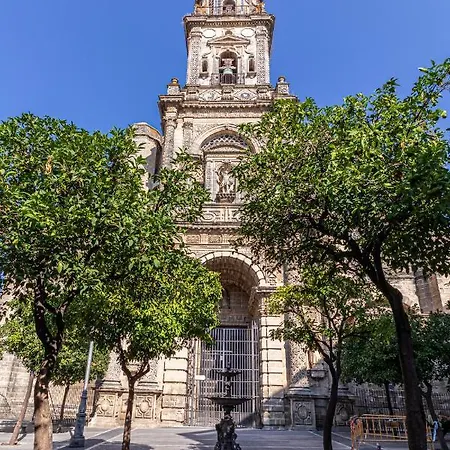 Allo Fate Centro 2 *